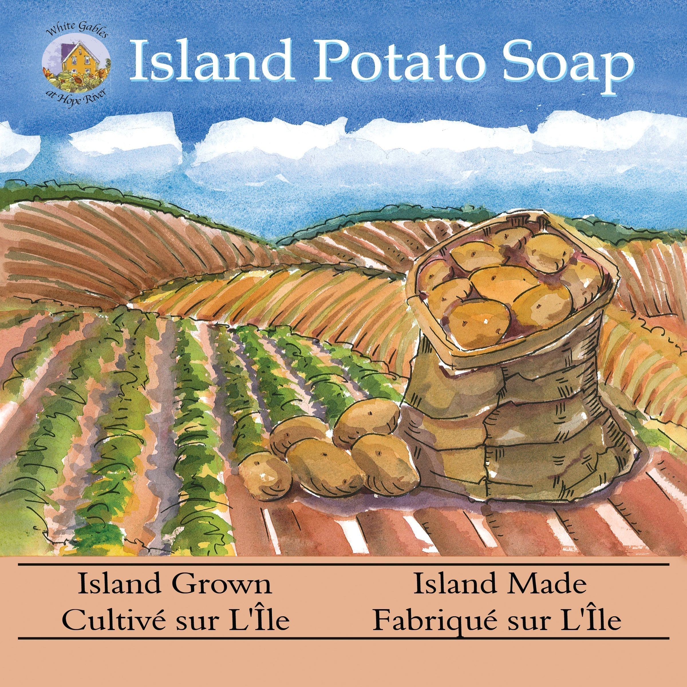 Watercolour illustration of a Prince Edward Island potato field with a potato bag and potatoes falling to the ground, representing agricultural waste and the cull potato concept behind Island Potato Soap