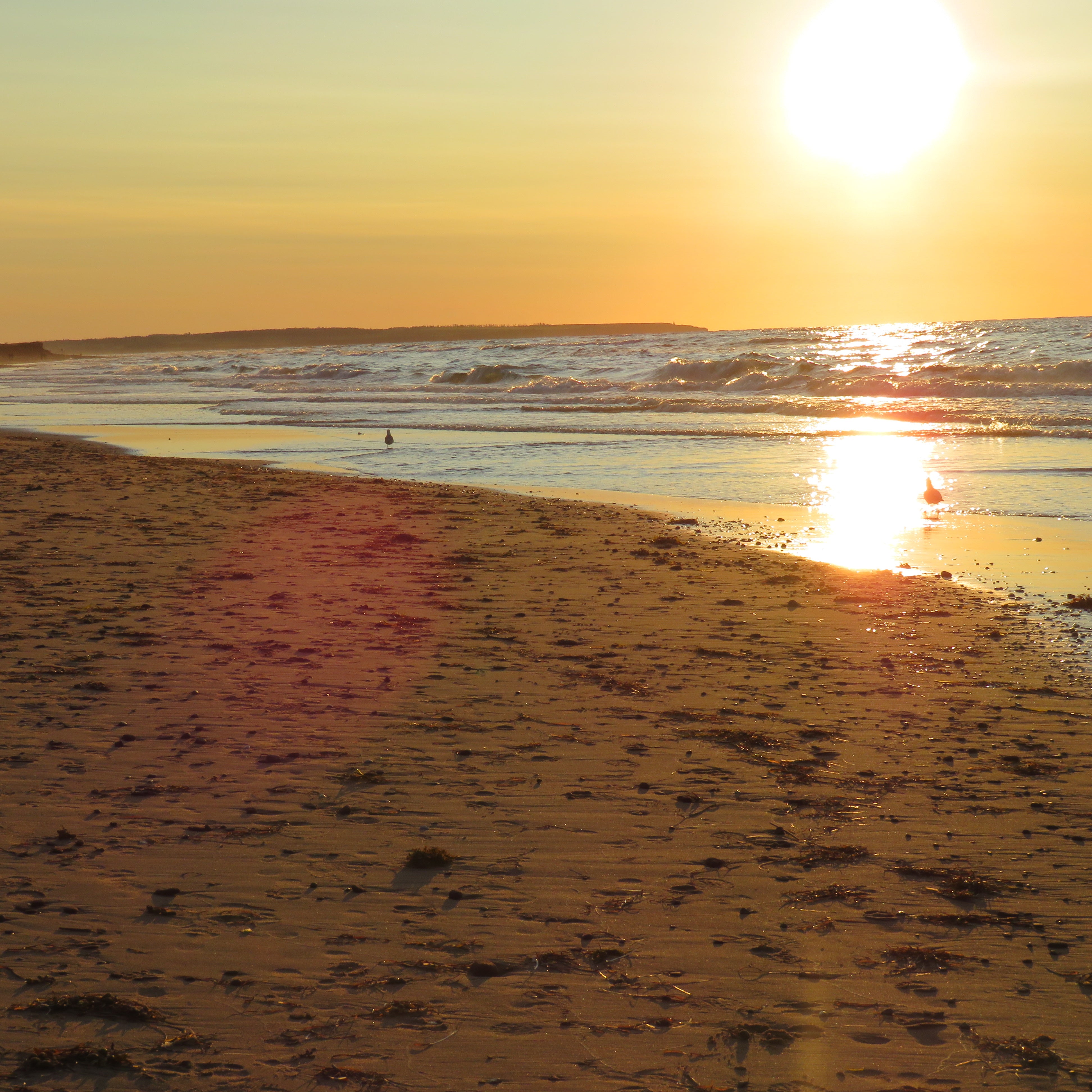 Sunset at a beach with waves and a person in the distance.