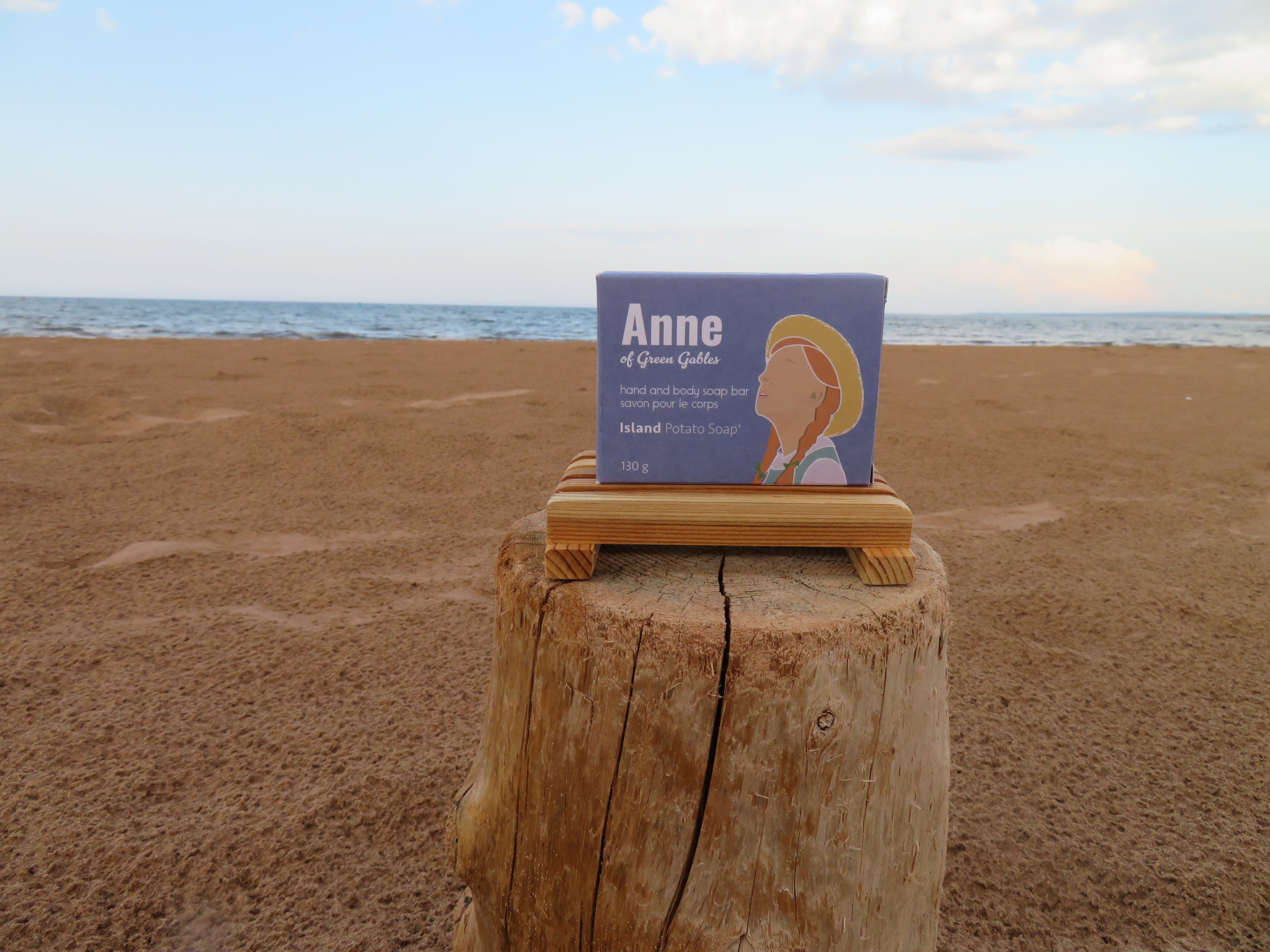 Box labeled 'Anne' on a wooden stump with a beach and ocean background