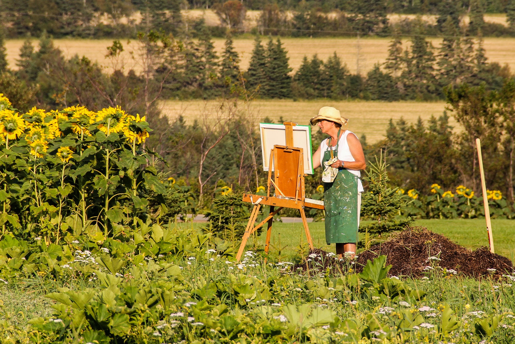 Woman painting outdoors in a sunflower field with a scenic background