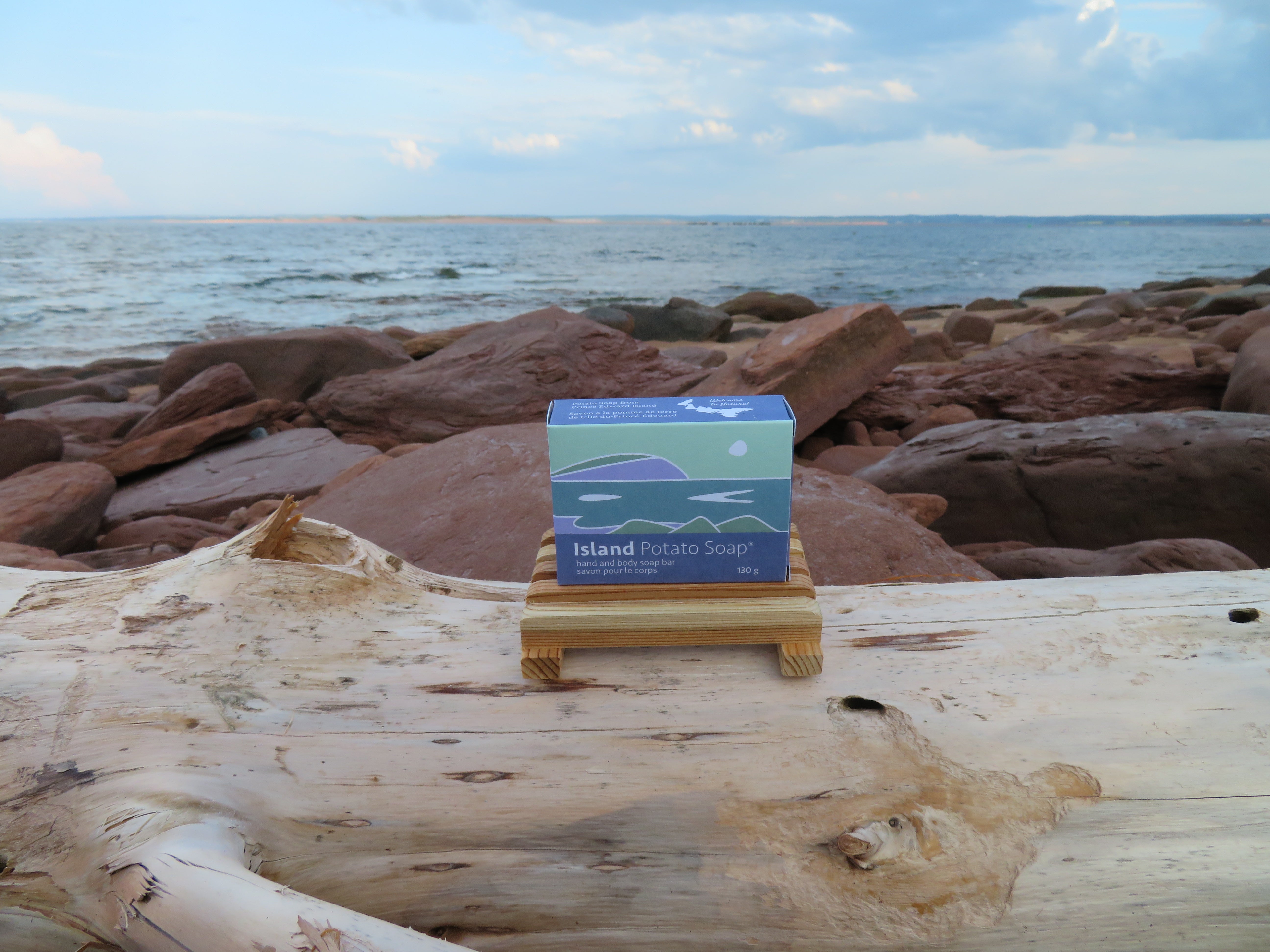 Small box with a scenic design on a wooden log by the ocean.