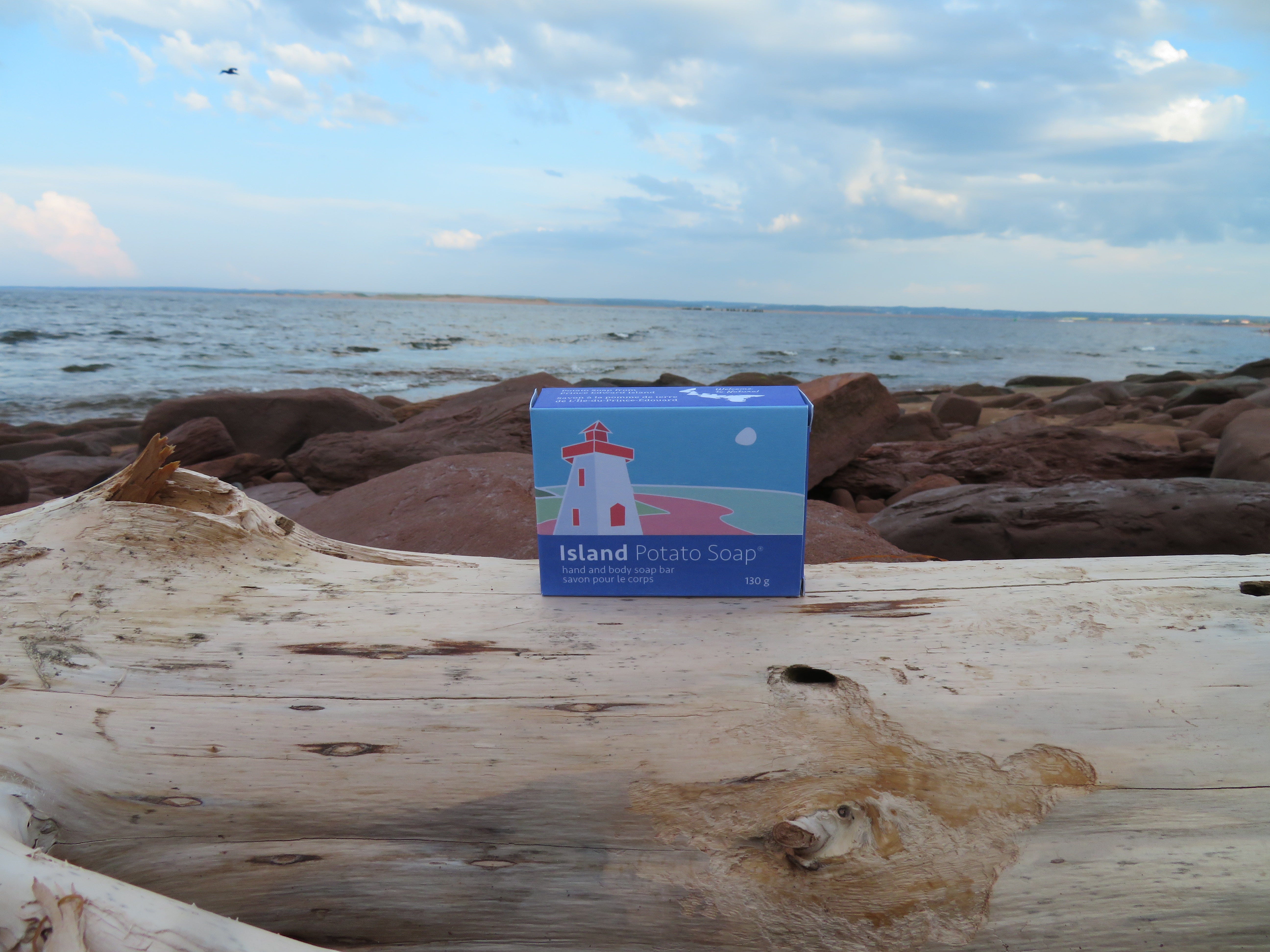 Box of Island Potato Soap on a piece of driftwood with a beach and ocean background