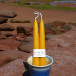 Three yellow candles in a blue holder on a rocky beach.