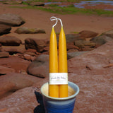 Three yellow candles in a blue holder on a rocky beach.